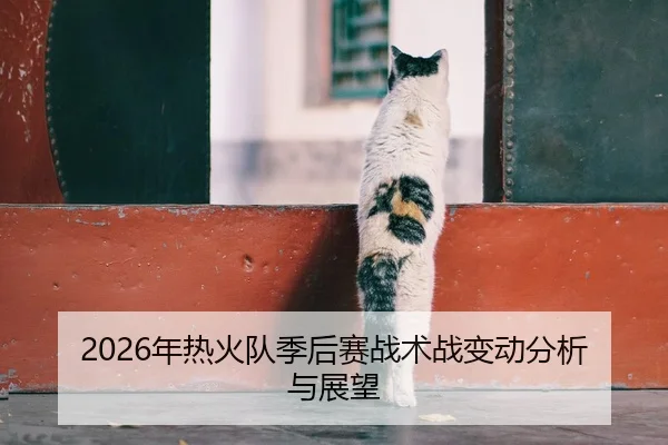2026年热火队季后赛战术战变动分析与展望