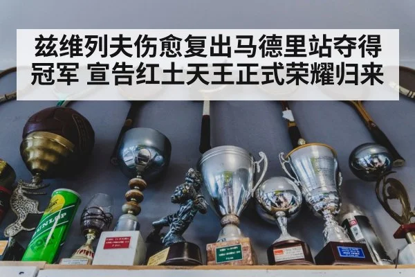 兹维列夫伤愈复出马德里站夺得冠军 宣告红土天王正式荣耀归来